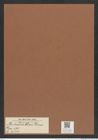 Auliscus clevei Grun. (de-Toni-Nr.: Genus 171, Species 4311) Zeichnungen Sammlung Grunow Mappe 04283 (Herbarium_W_Grunow_drawings_Folder_04283)
